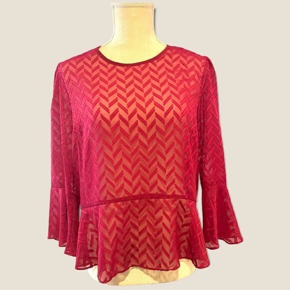 BCBGMaxazaria | EUC Women’s Sheer Bell Sleeved Blouse Size M - Picture 1 of 8